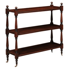 English 19th Century Shallow Rosewood Trolley with 3 Tiers and Brass Castors