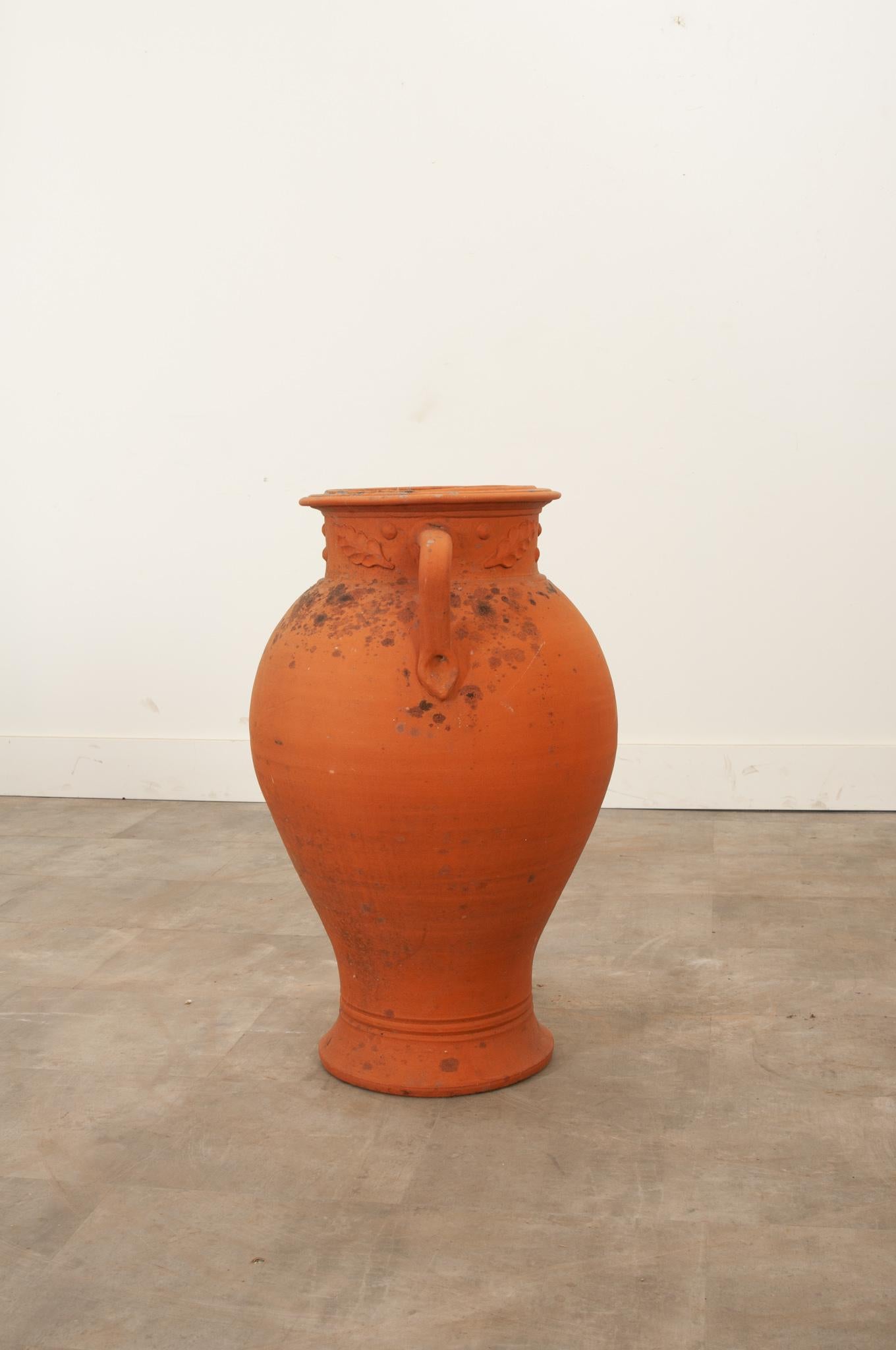 English 19th Century Terracotta Urn For Sale 2