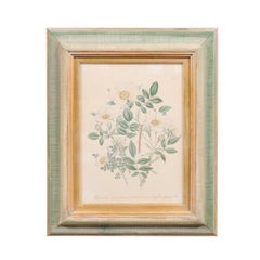 English 19th Century Victorian Framed Print Depicting White Eglantine Roses