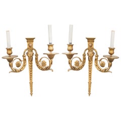 Pair of English Adam Style Bronze Dore Wall Sconces