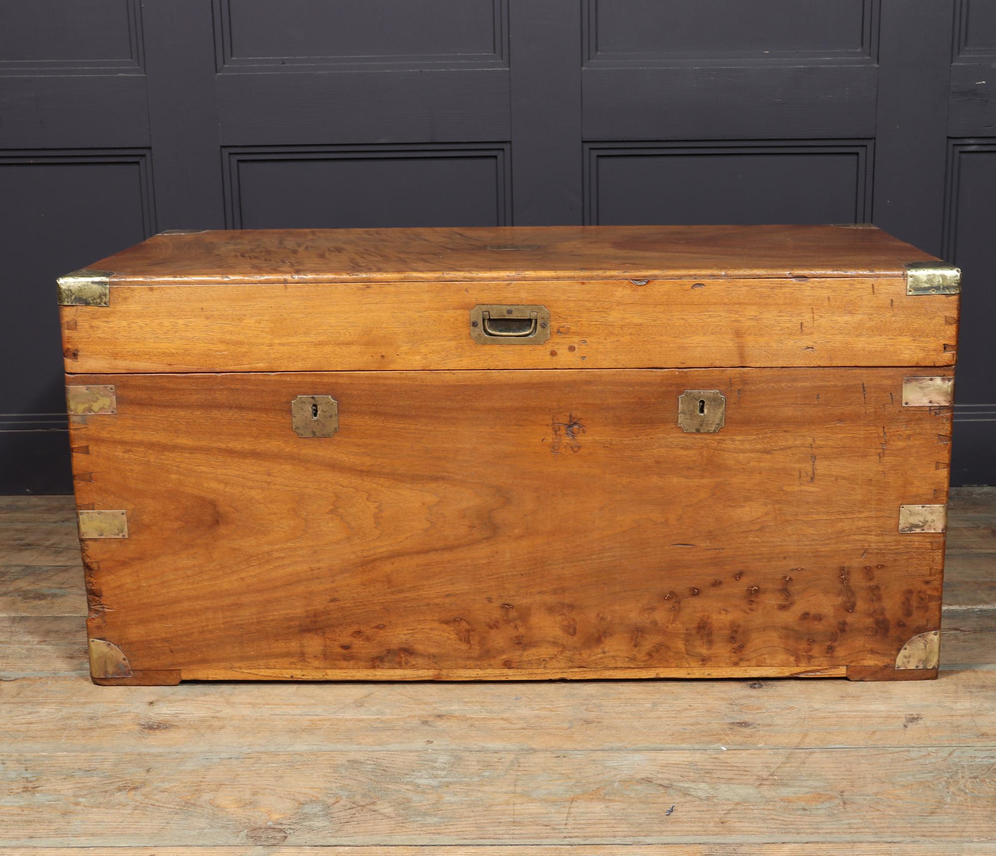 Late 19th Century English Antique Camphor Wood Box For Sale