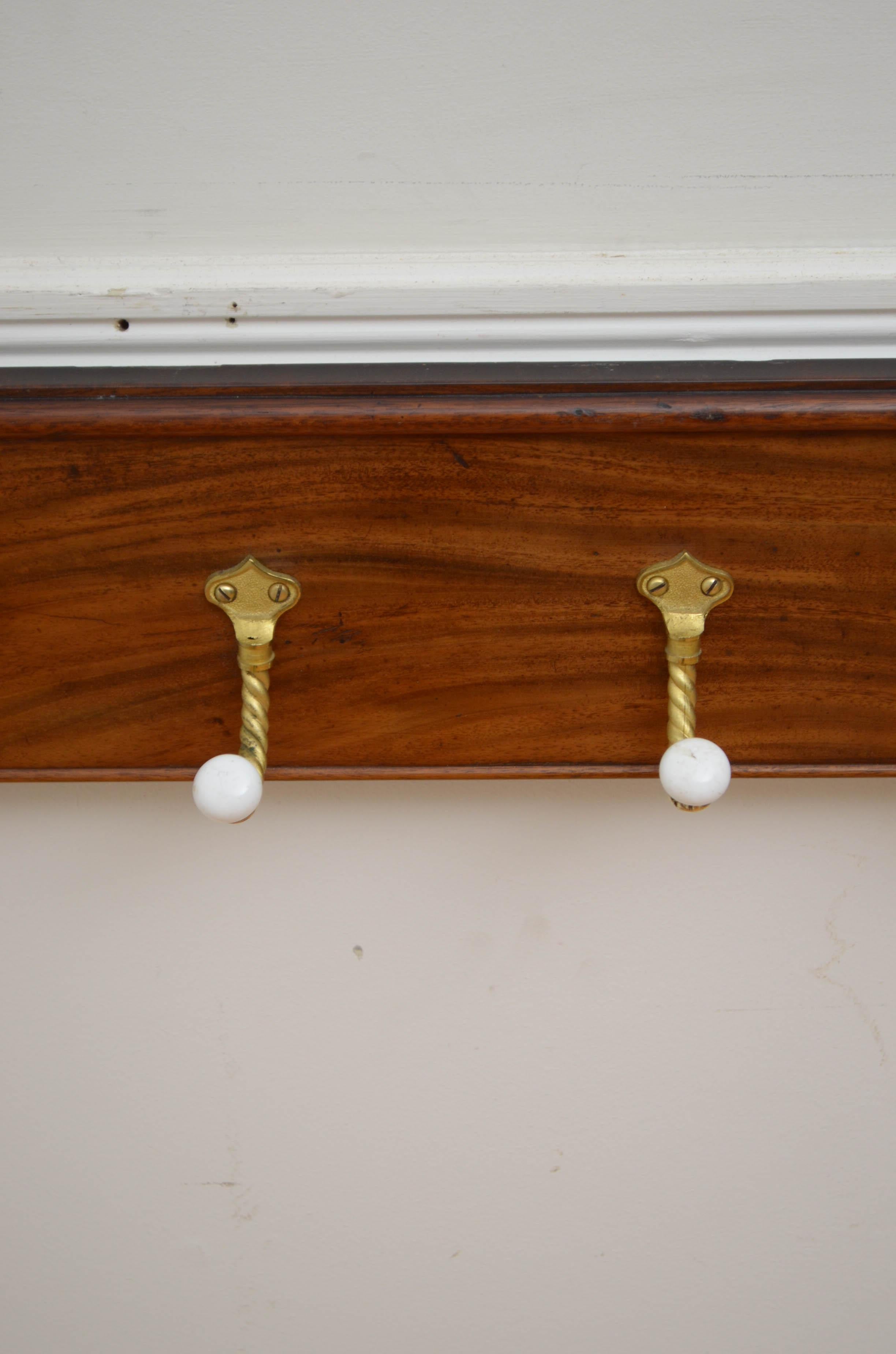 19th Century English Antique Coat hooks Coat Rack For Sale
