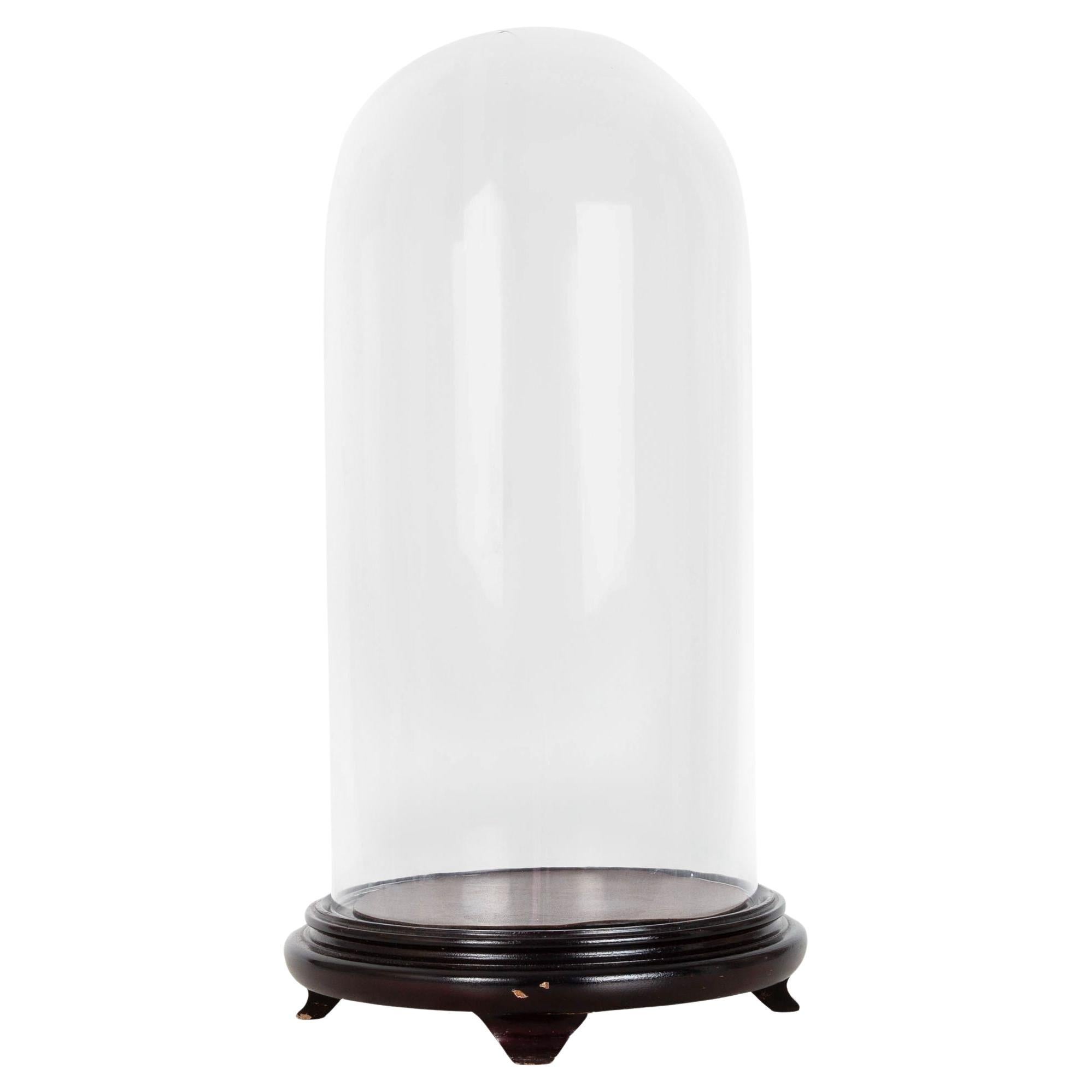 Ancienne grande vitrine victorienne en verre, fin du 19e siècle