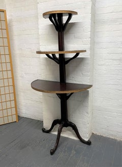 English Antique Mahogany Étagère