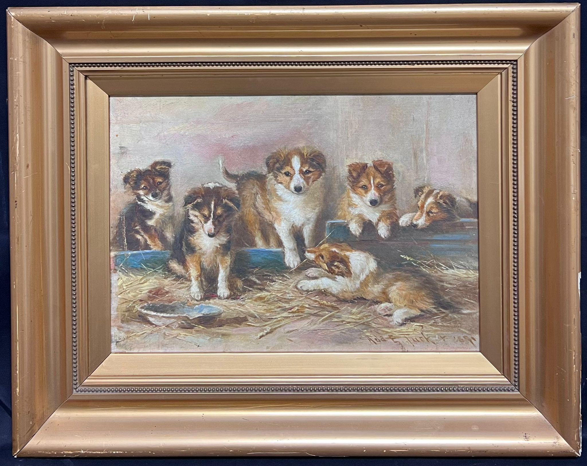 Pintura al óleo inglesa del siglo XIX Cachorros juguetones de perro pastor de Shetland - Painting de English Antique Oil
