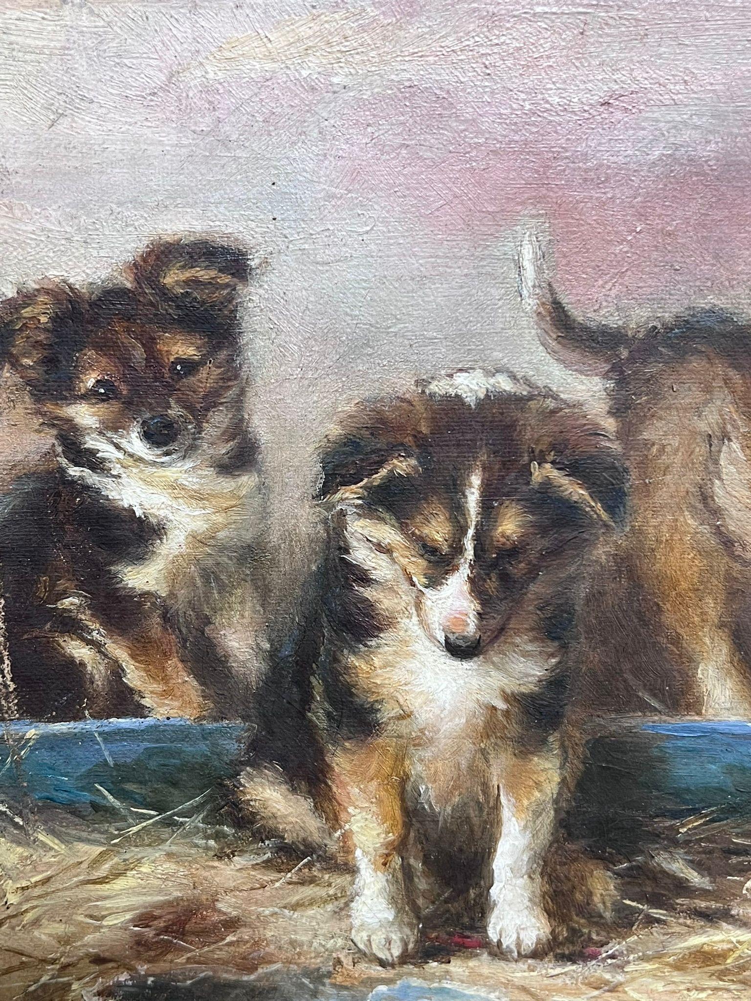 Pintura al óleo inglesa del siglo XIX Cachorros juguetones de perro pastor de Shetland 1
