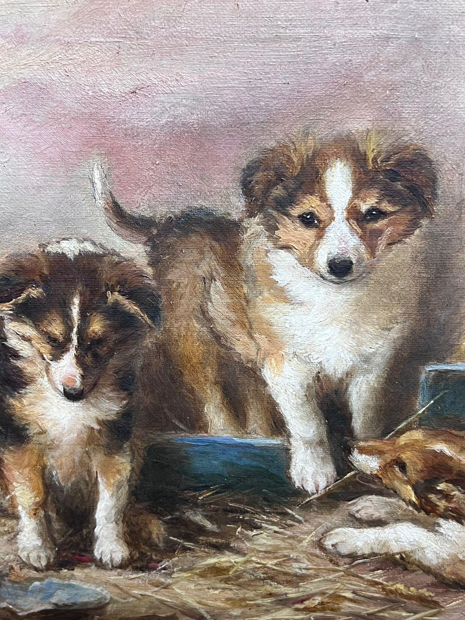 Pintura al óleo inglesa del siglo XIX Cachorros juguetones de perro pastor de Shetland 3