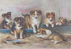 Pintura al óleo inglesa del siglo XIX Cachorros juguetones de perro pastor de Shetland