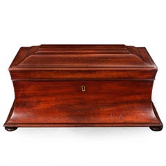 English Antique Regency Mahogany Sarcophagus Tea Caddy