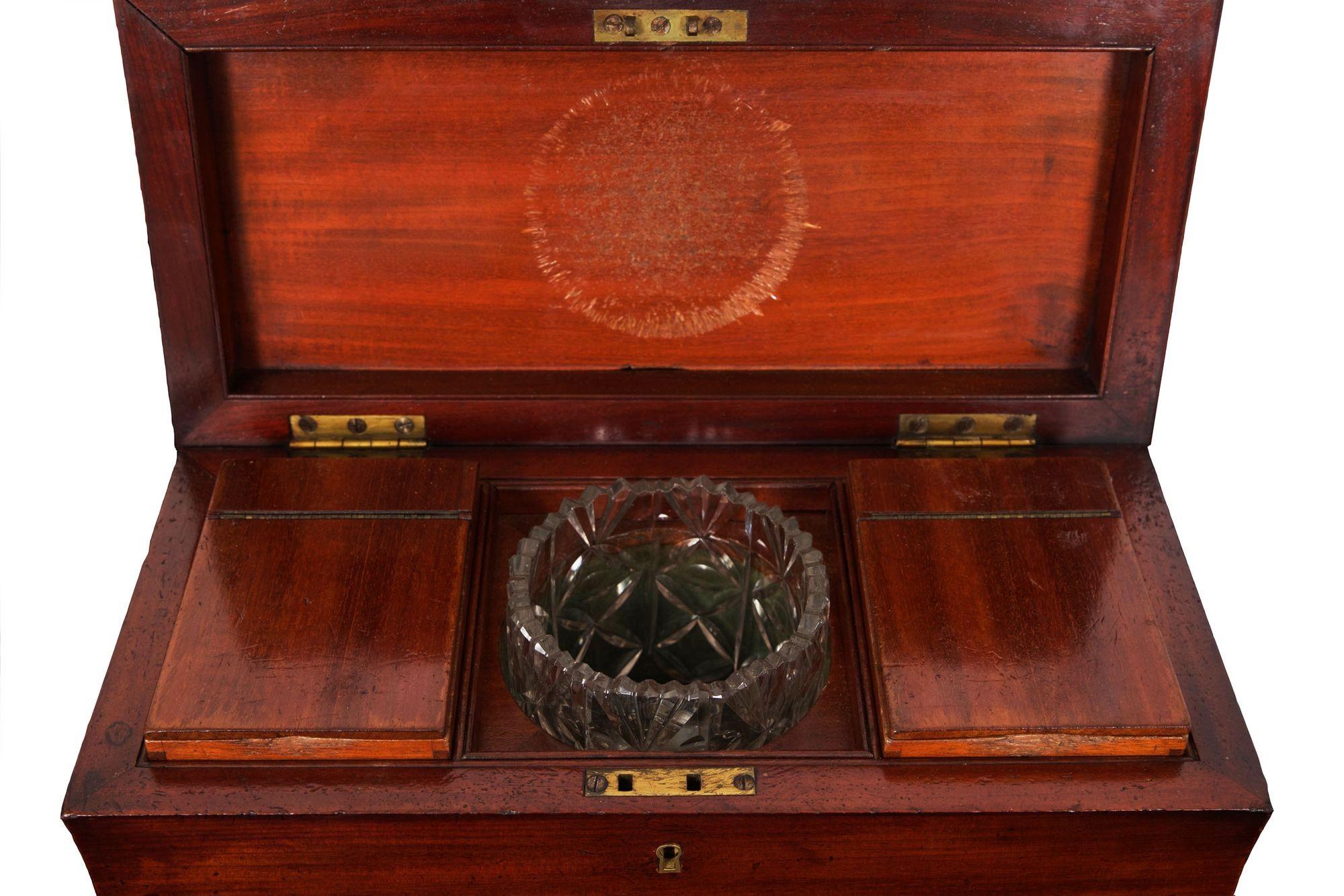 19th Century English Antique Regency Mahogany Sarcophagus Tea Caddy
