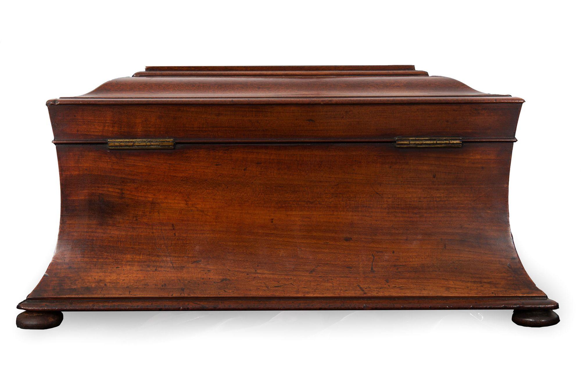 English Antique Regency Mahogany Sarcophagus Tea Caddy 2