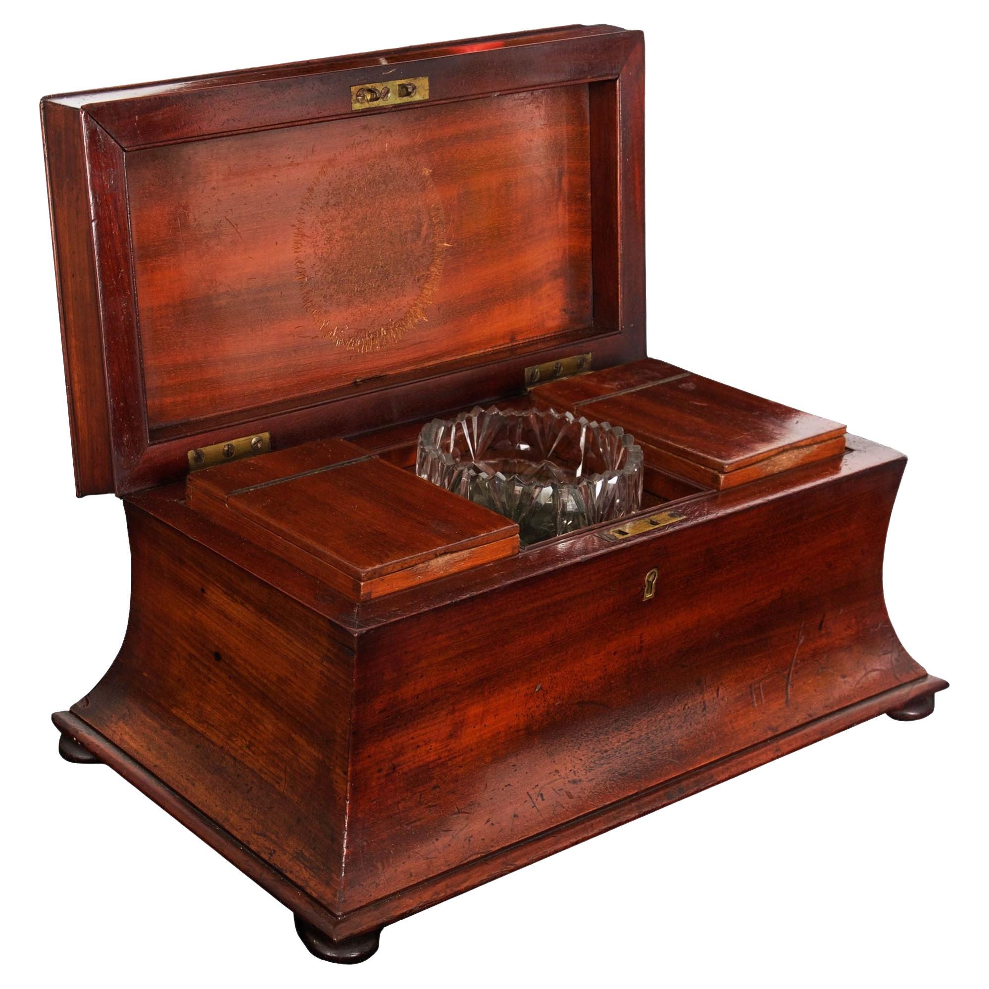 English Antique Regency Mahogany Sarcophagus Tea Caddy