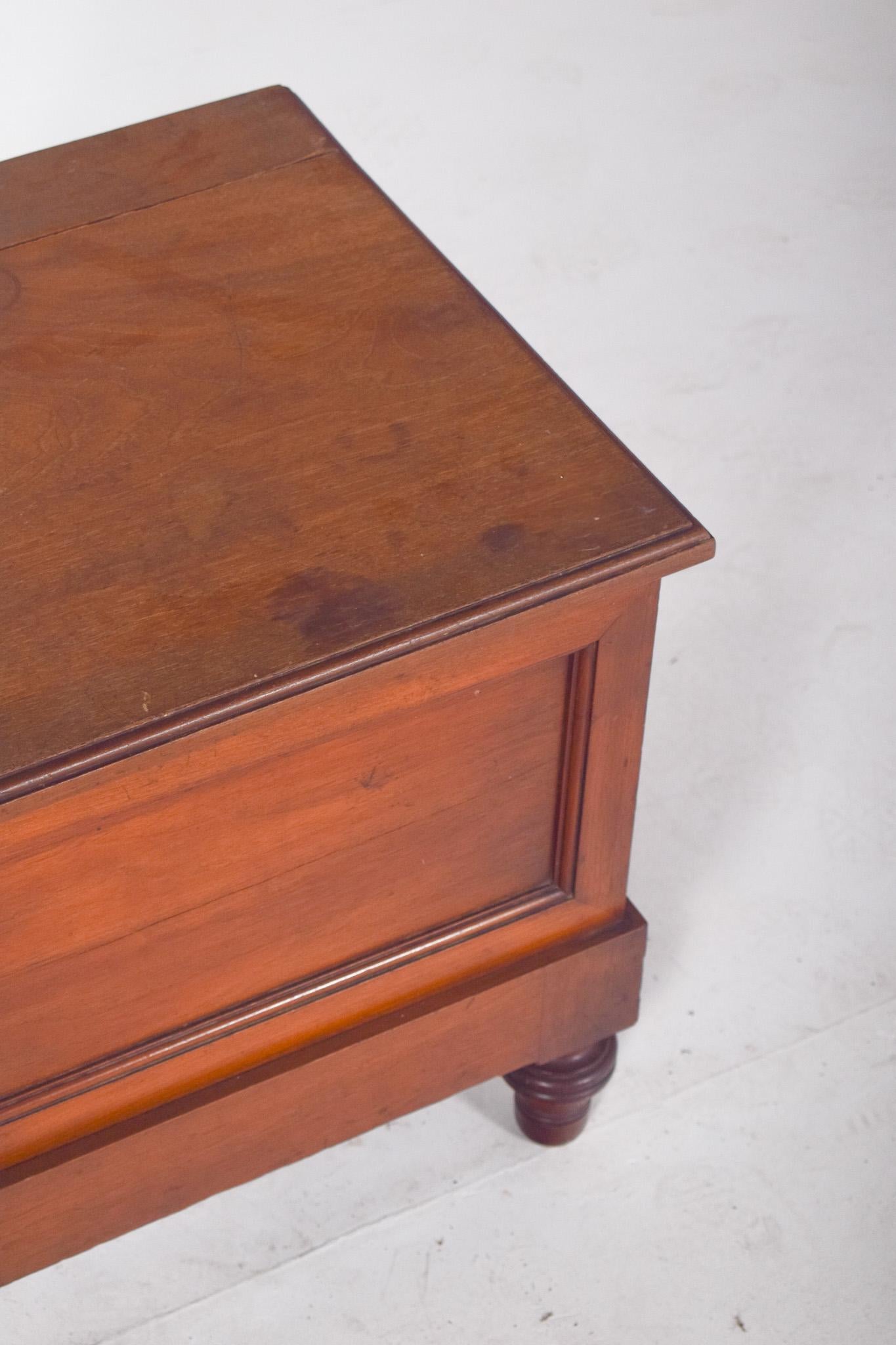 20th Century English Antique Wooden Bedside Table with Sanitary Container For Sale