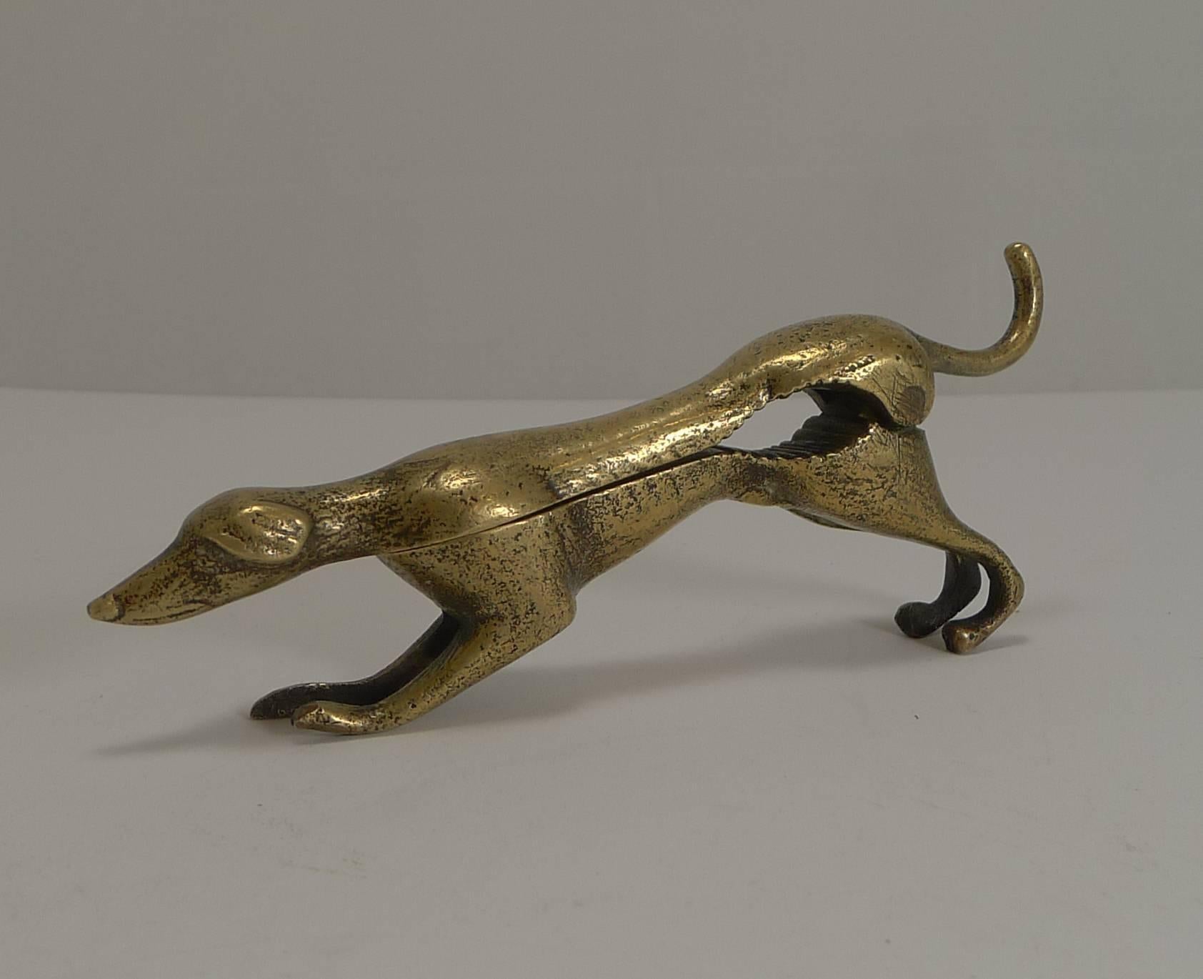 A fabulous and highly collectable nutcracker made from solid cast brass in the form of a stylised Greyhound dog.

Once opened there is an English registration number inside for the year 1920.

Charming and in excellent condition measuring 6 1/4