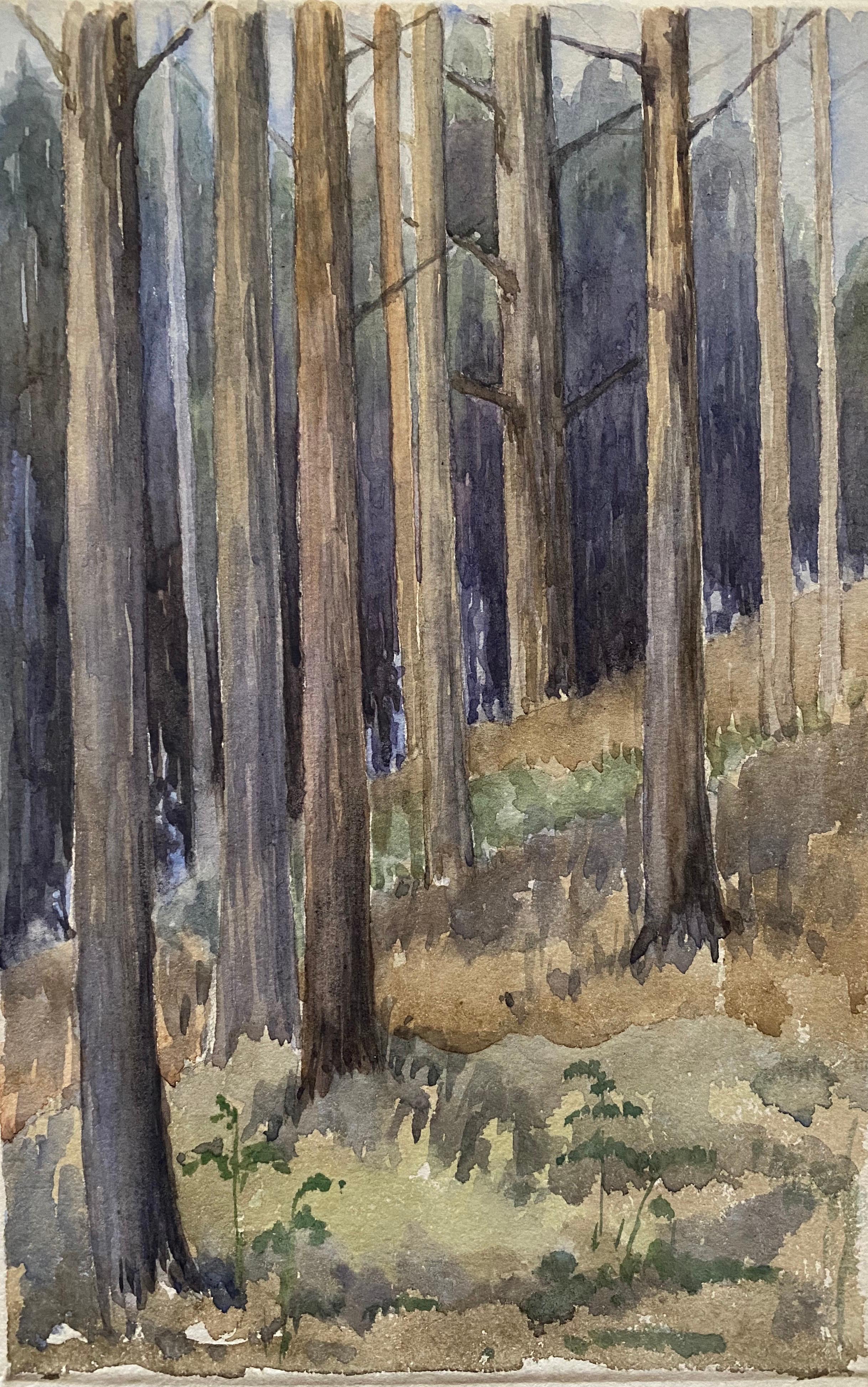 Unknown Landscape Painting - 1900's English Impressionist Watercolor Painting Captivating Midnight Forest