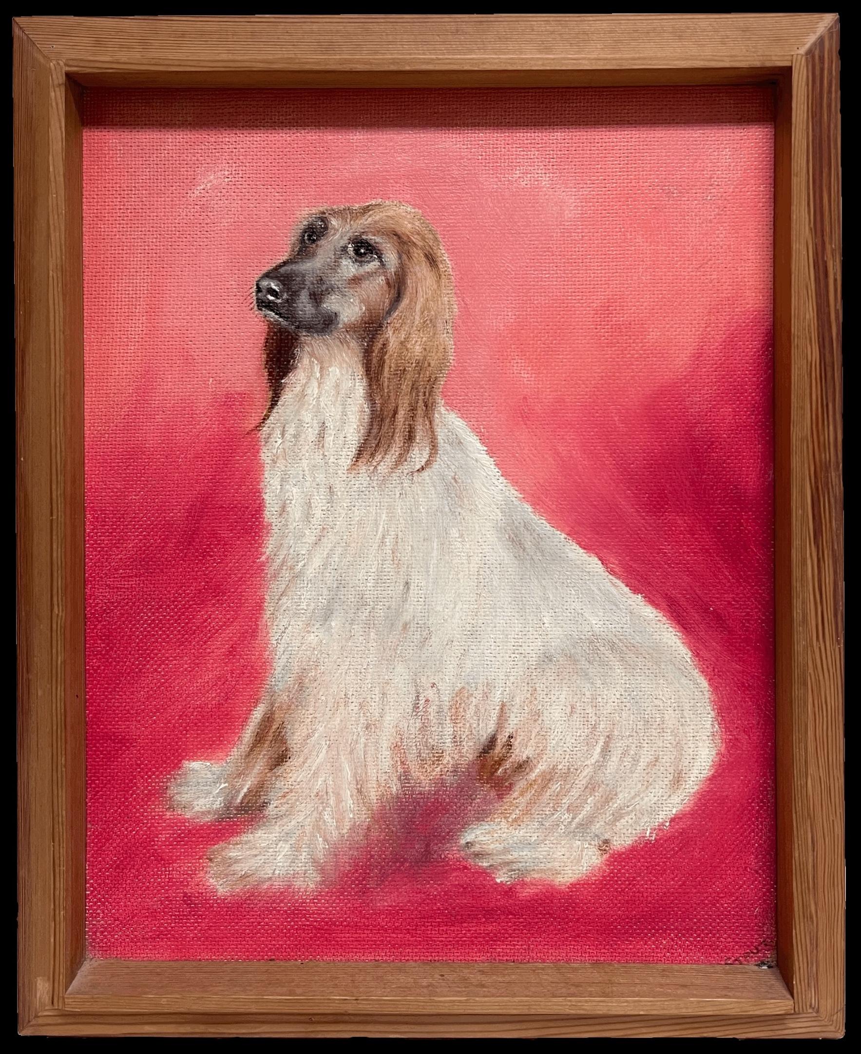 The Afghan Hound
English artist, mid 20th century
oil painting on board, framed in wooden frame (most likely original to the painting)
framed: 14.4 x 11.5 inches
board: 12 x 9.5 inches
condition: very good
provenance: private collection, England

