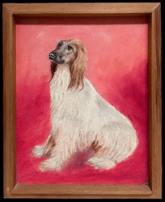 Afghan Hound Long Haired Vintage Original English Dog Oil Painting Pink Back