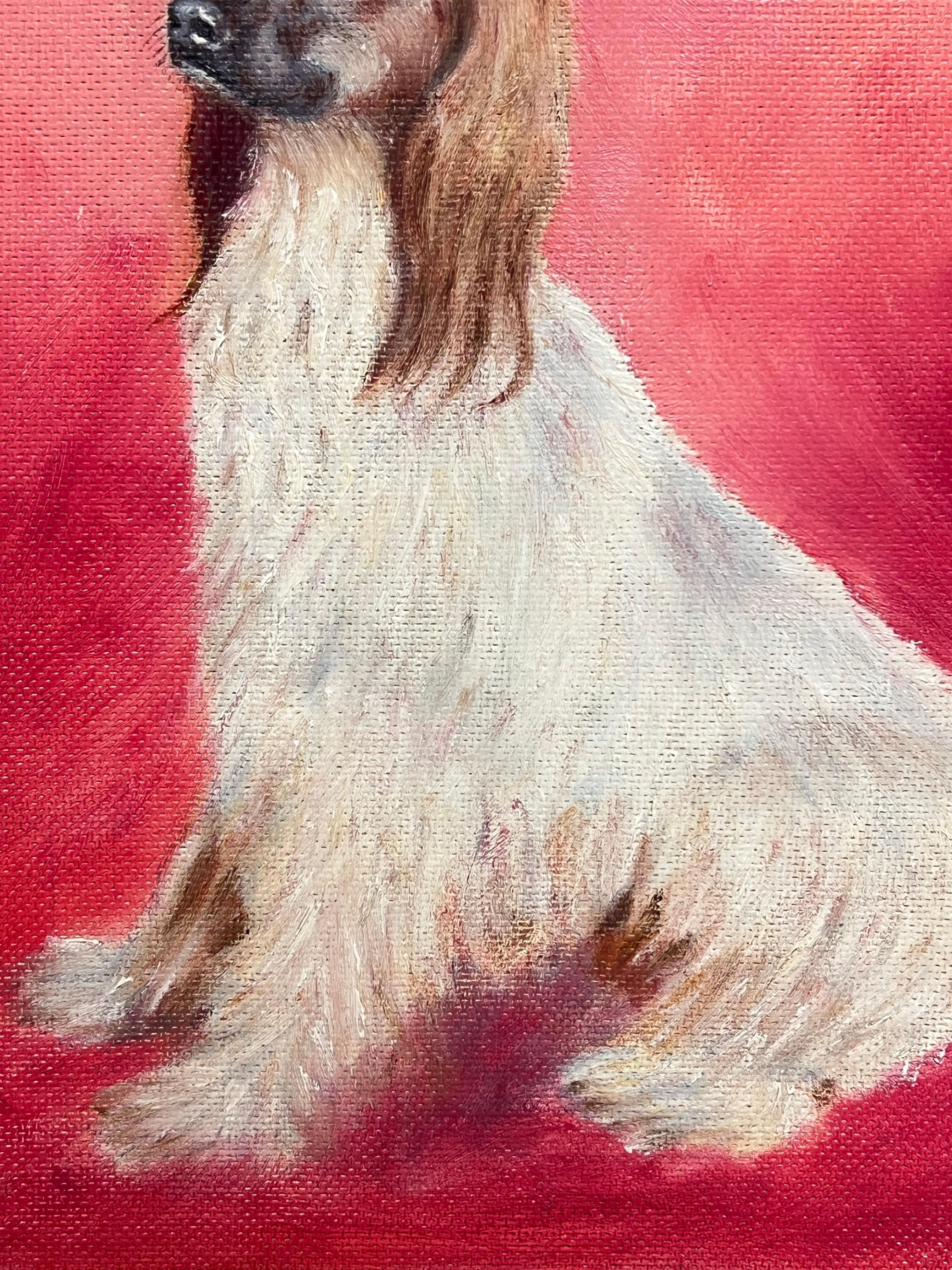 Afghan Hound Long Haired Vintage Original English Dog Oil Painting Pink Back For Sale 1