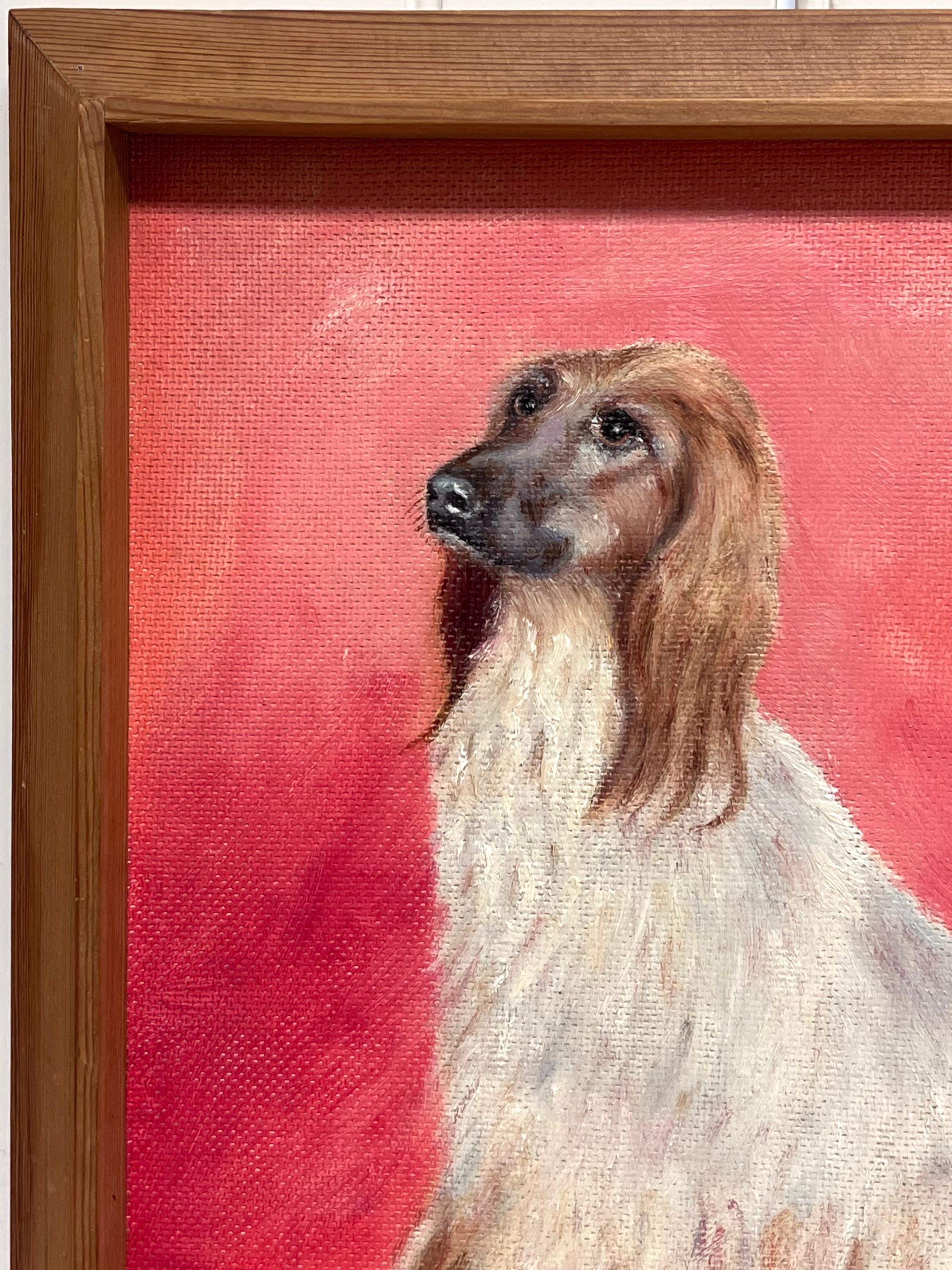 Afghan Hound Long Haired Vintage Original English Dog Oil Painting Pink Back For Sale 5