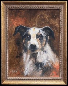 Ritratto di un cane Colli Dipinto a olio inglese d'epoca con cornice dorata