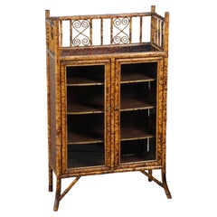 Antique English Bamboo Bookcase Cabinet with Gallery Top and Two Glazed Doors