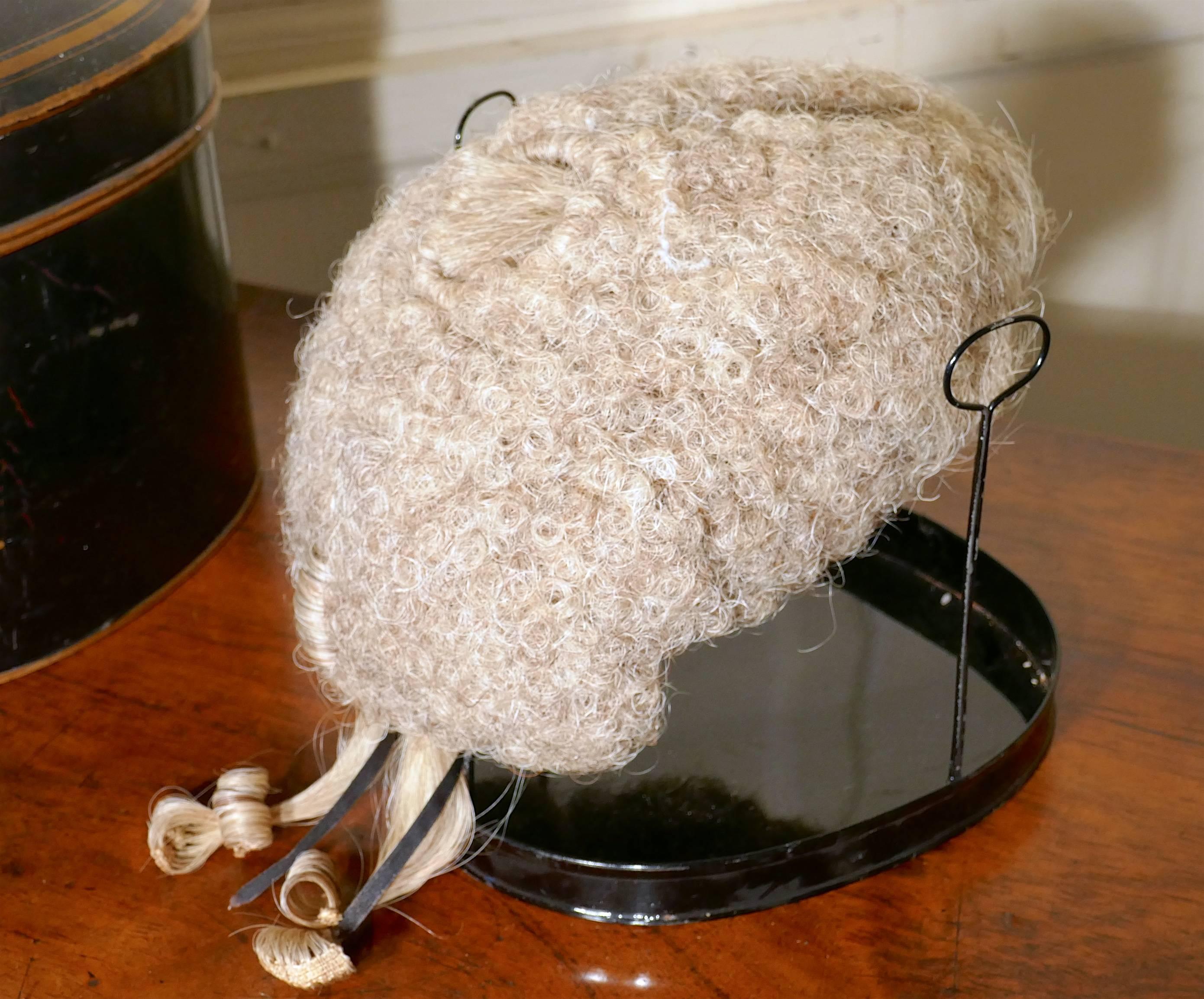 19th Century English Barrister's Bench Wig in Original Tole Box with Riser by Ravenscroft Law