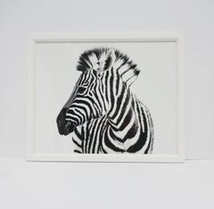 Zebra Photo Print Wall Art Made in England