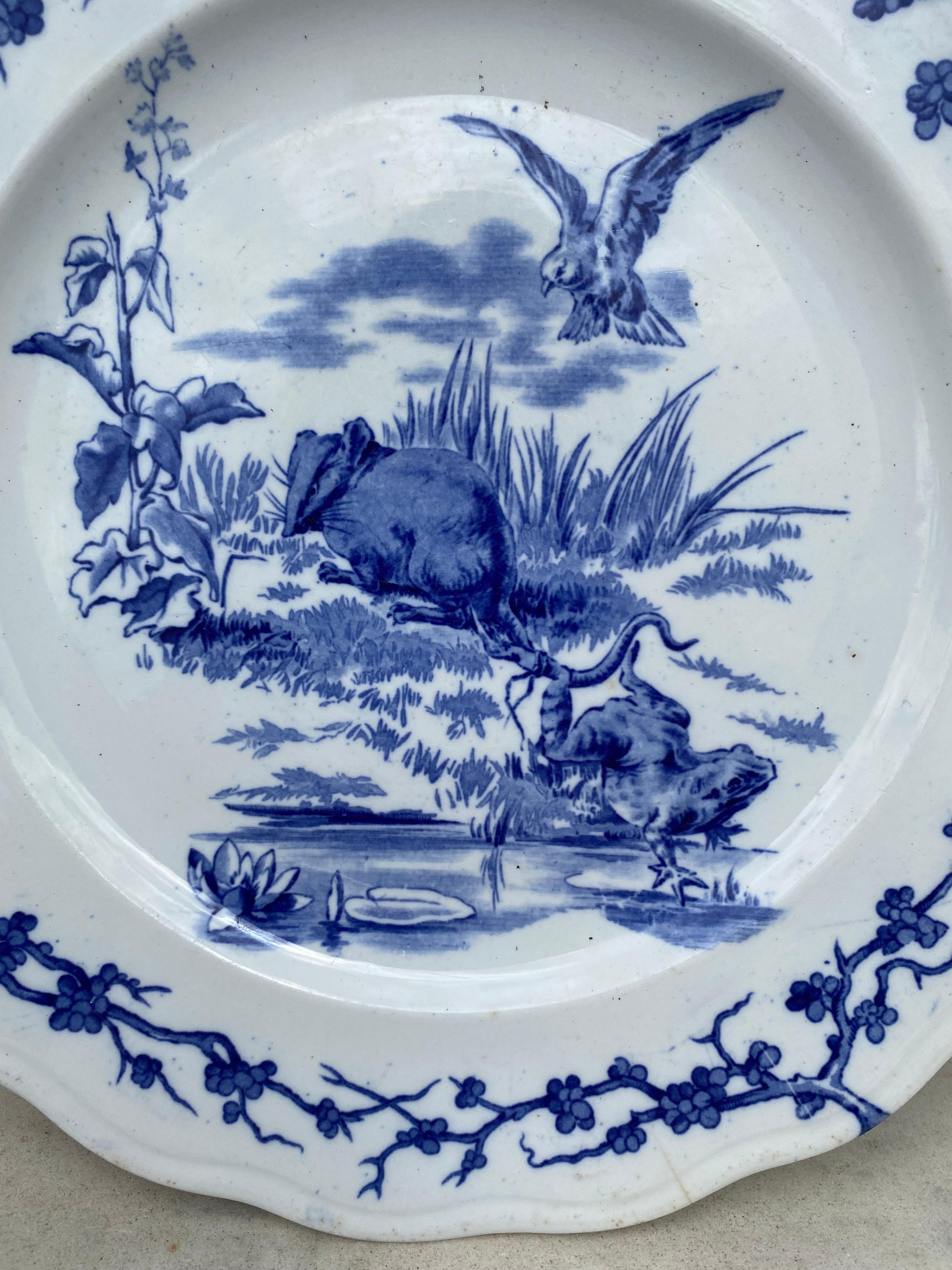 Country English Blue & White Plate Eagle & Frog Brown Westhead and Moore, circa 1890 For Sale