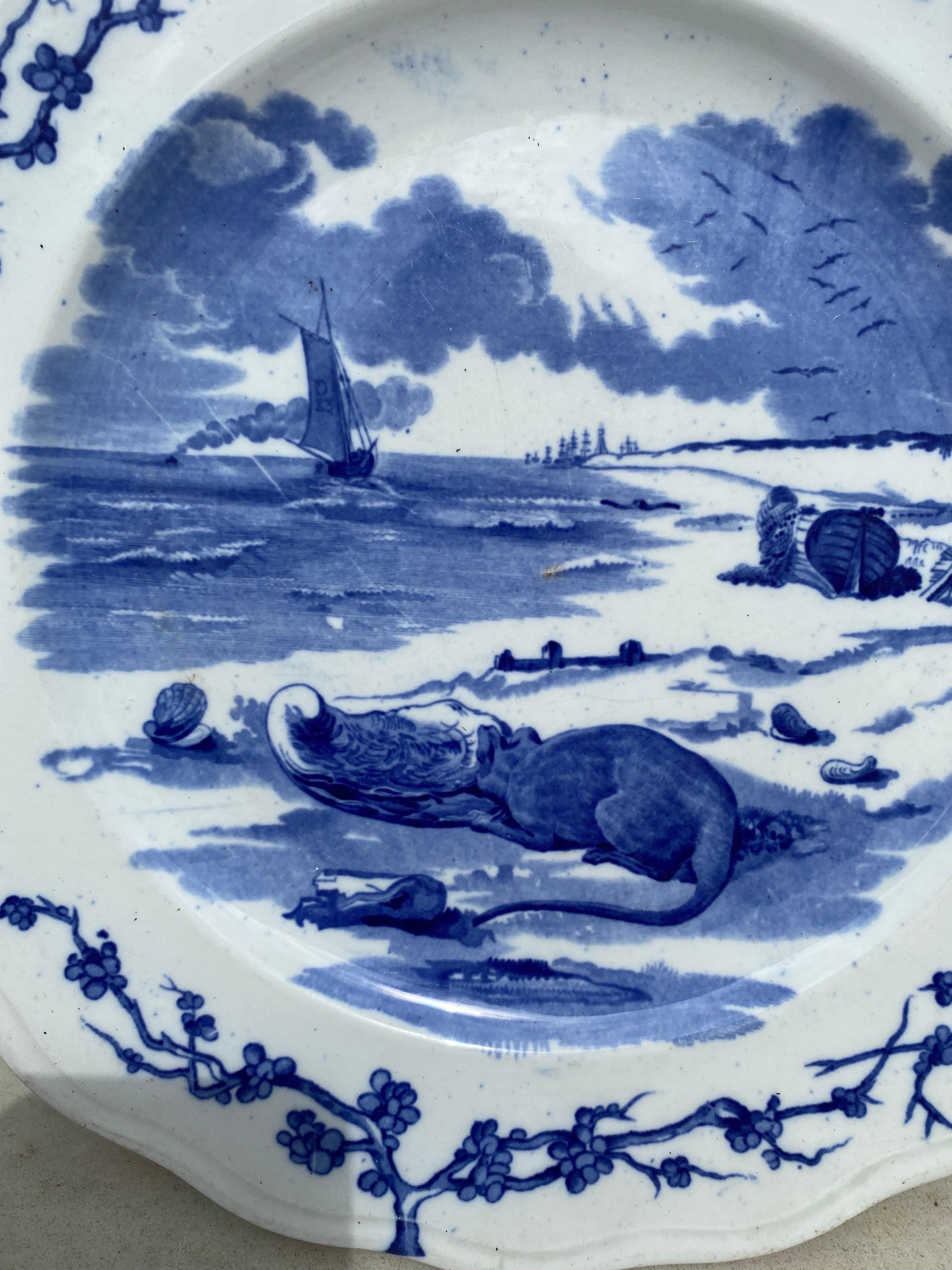 Country English Blue & White Plate Rat Brown Westhead and Moore, circa 1890 For Sale
