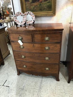 English Regency Bow Front Chest in Light Crotched Mahogany, Brass Ovals