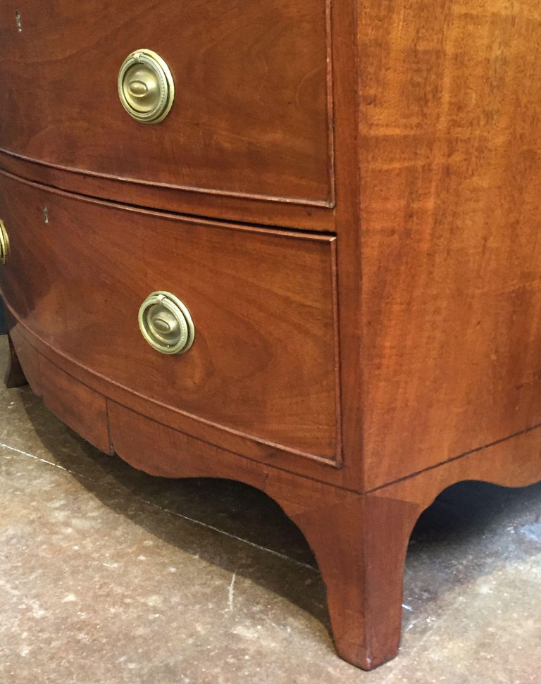 English Bow Front Chest of Mahogany For Sale at 1stDibs mahogany bow front chest, bow front