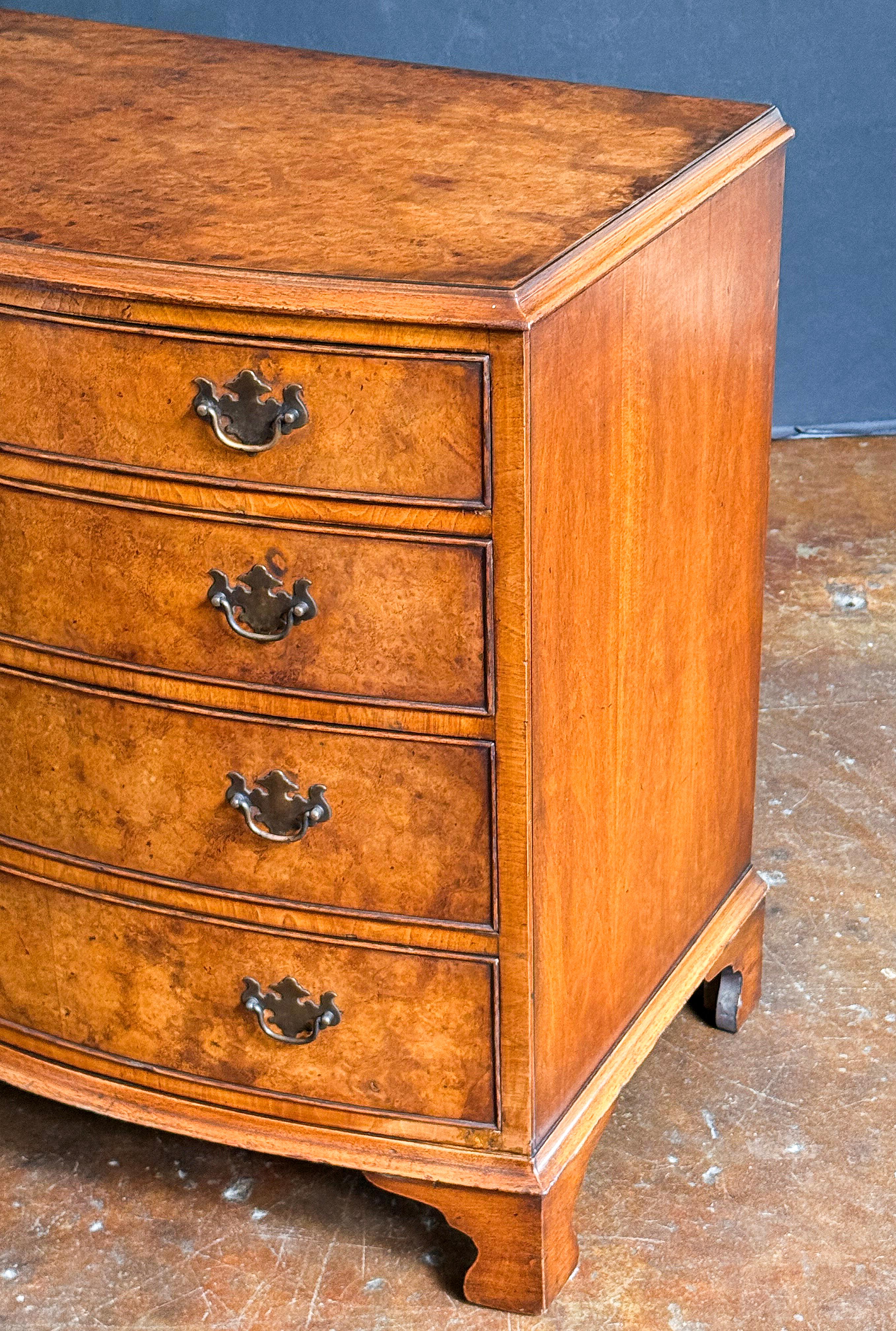 Métal English Bow Front Small Chest of Burr Walnut with Four Drawers en vente