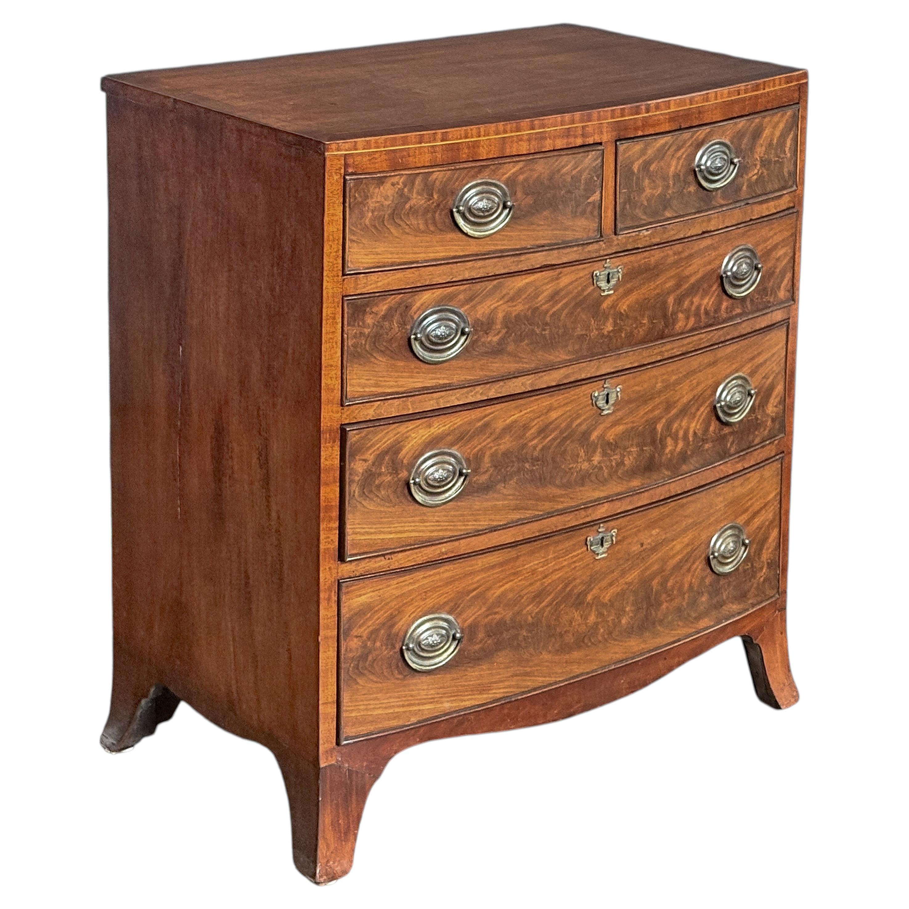 English Bow Front Small Chest of Drawers of Flame Mahogany