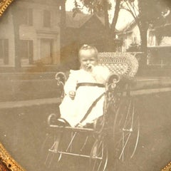 English Brown Crocodile Picture Frame