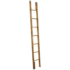 English Brown Leather and Brass Tack Stick Ladder