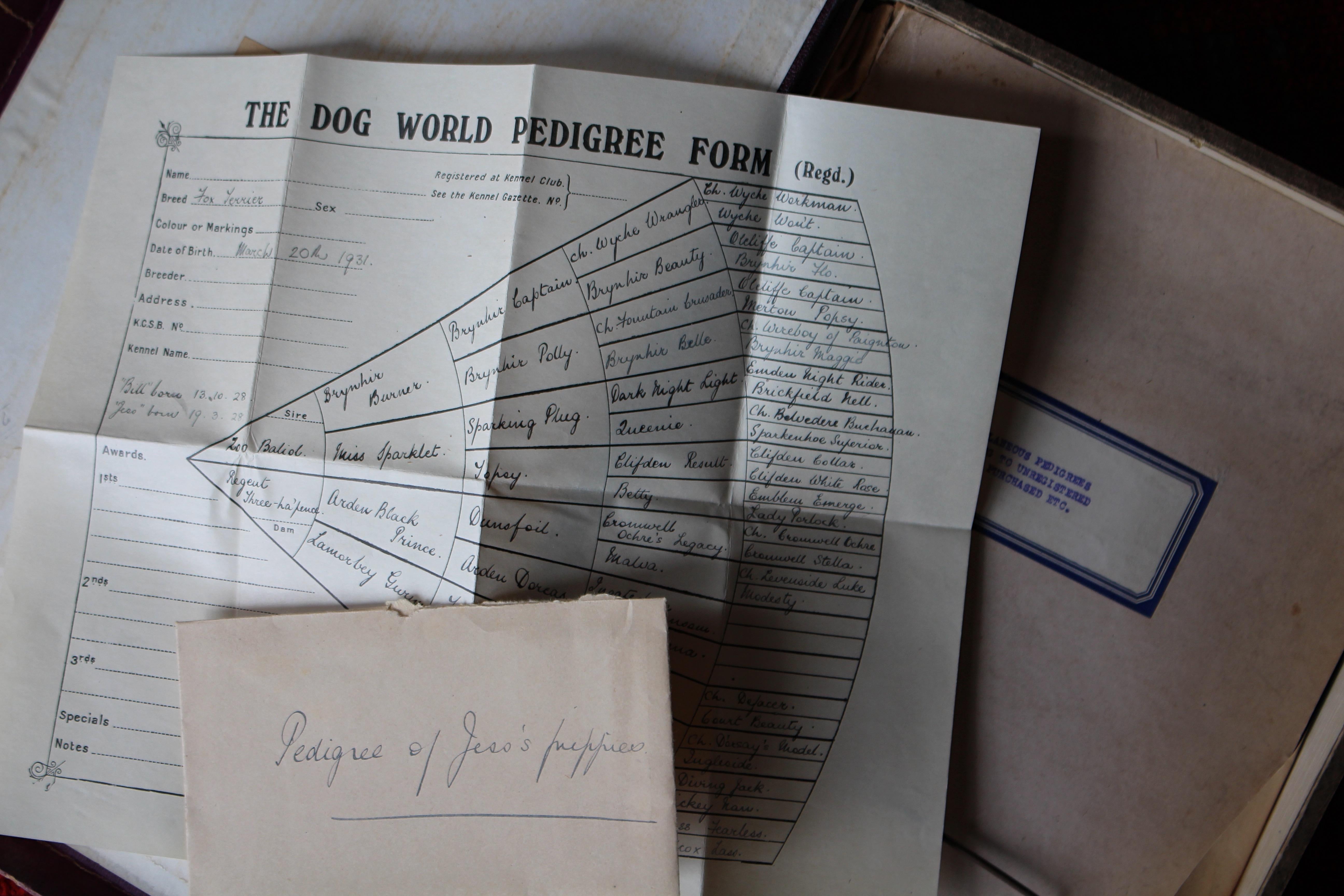 Collectional de documents éphémères relatifs à la race canine du bull terrier anglais, allant du début du 20e siècle aux années 1960.

Comprend des certificats de l'Association d'assurance des chiens de race et du bétail, des certificats