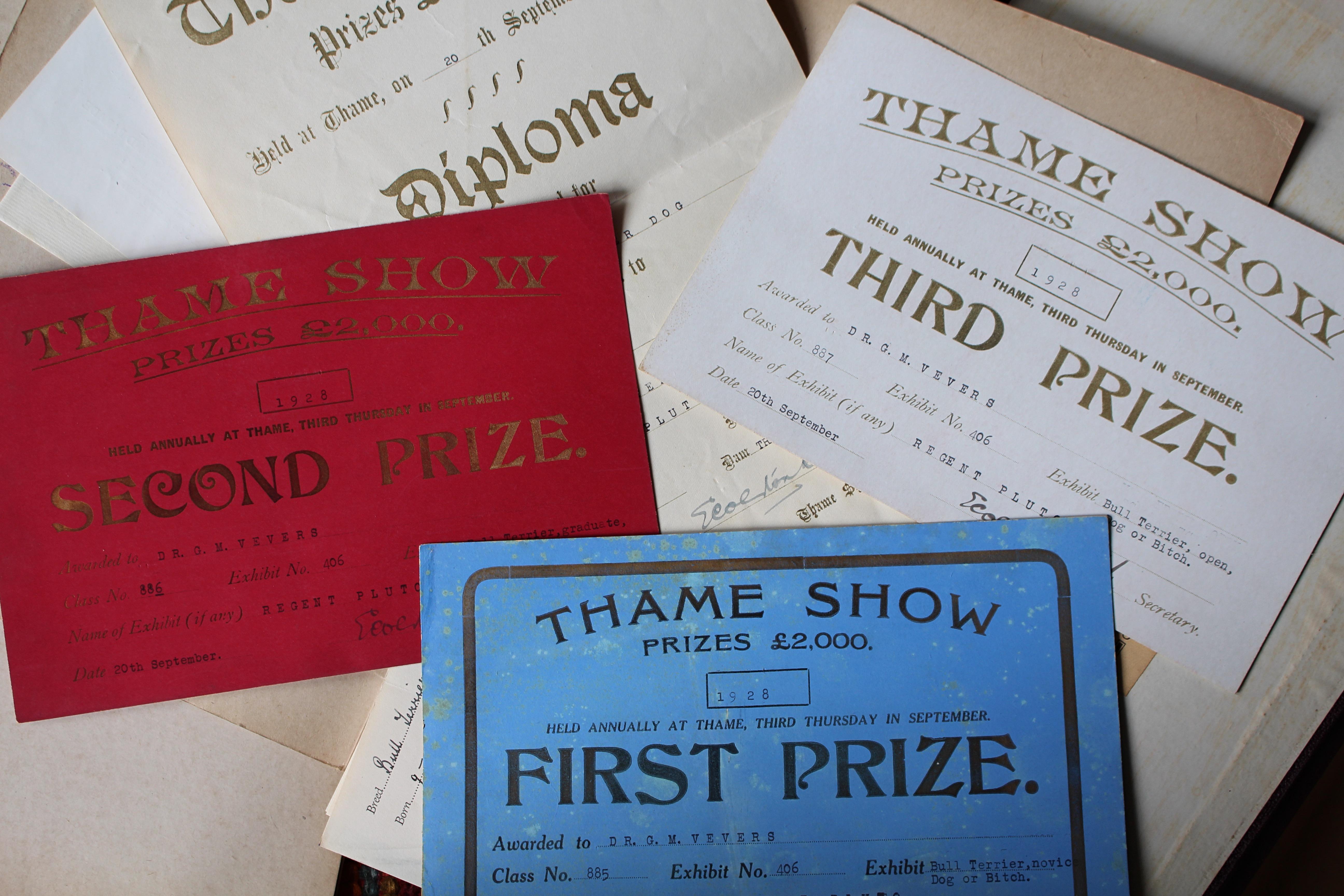 Intérêt pour le Bull Terrier Anglais, pedigree, expositions canines, photographie 1910-1960 Bon état - En vente à Lowestoft, GB