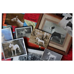 Collectibles and Curiosities