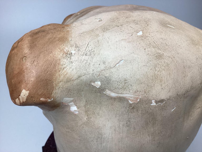 English Bulldog Head Papiermâché Collar Box For Sale at 1stDibs