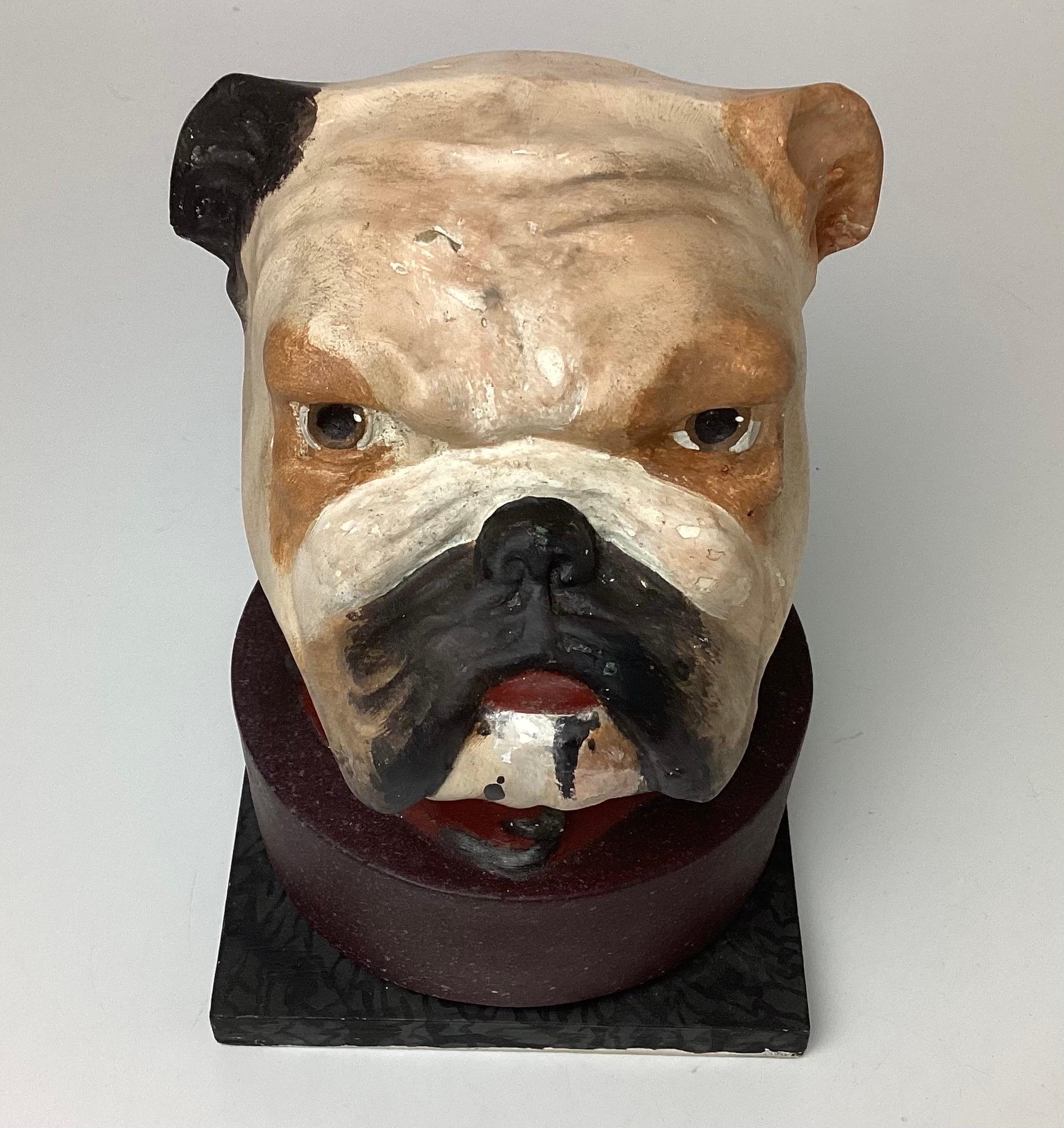 English bulldog head papier-mâché collar box. This is just wonderful. Made of Papier-mâché, composition and cardboard. Still has a collar inside. Good age appropriate wear with some chipping and re-paint. No dents or brakes.
