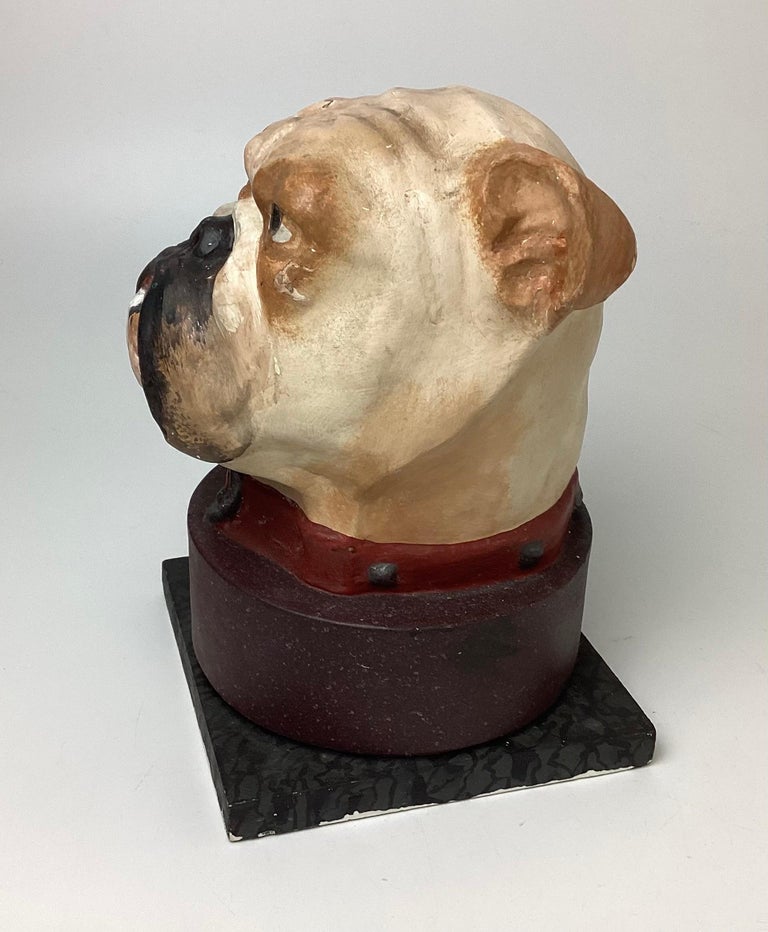 English Bulldog Head Papiermâché Collar Box For Sale at 1stDibs
