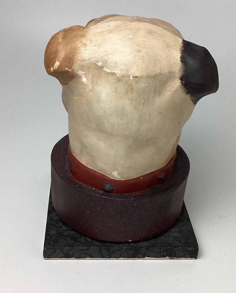 English Bulldog Head Papiermâché Collar Box For Sale at 1stDibs