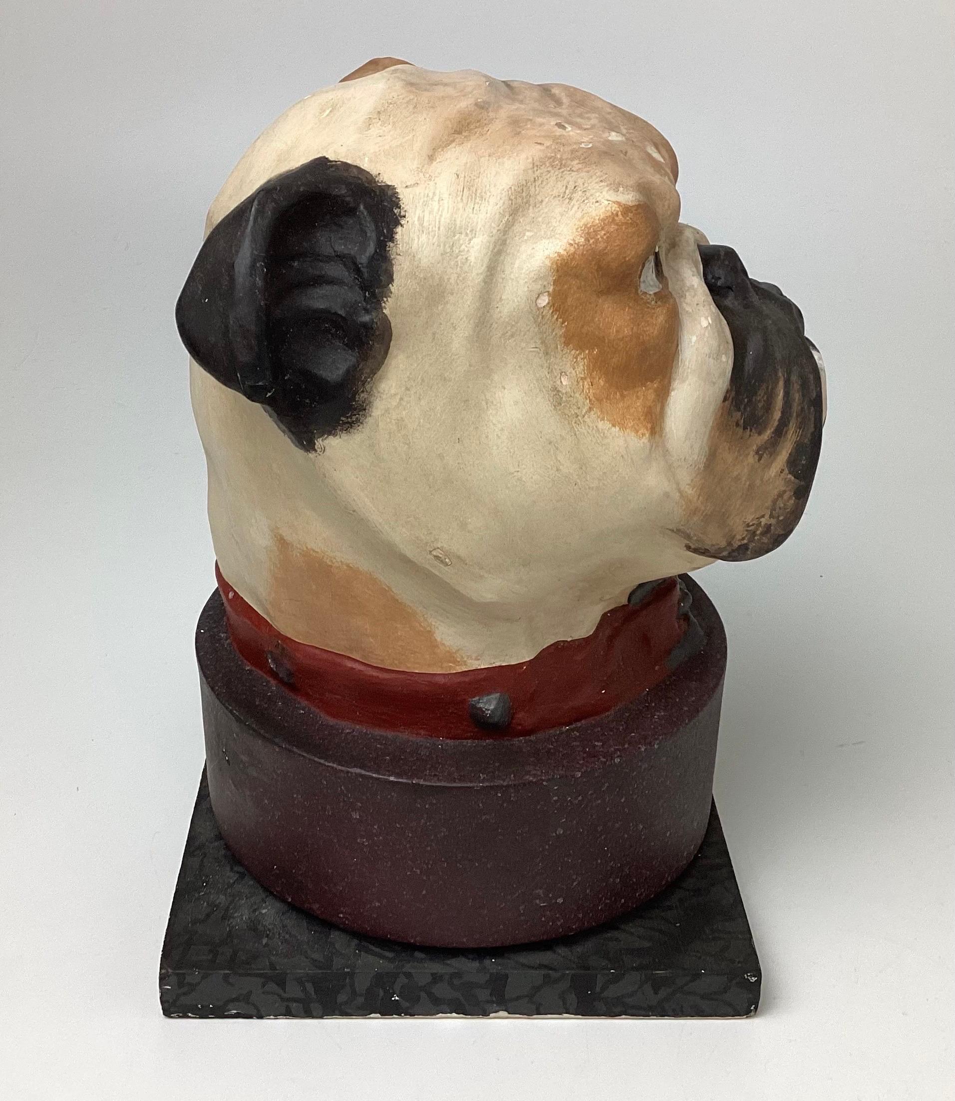 Unknown English Bulldog Head Papier-mâché Collar Box For Sale