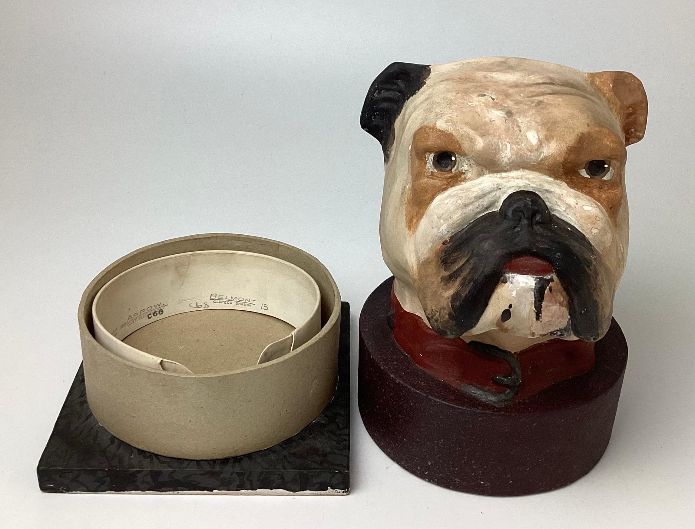 English Bulldog Head Papier-mâché Collar Box In Good Condition For Sale In Lambertville, NJ