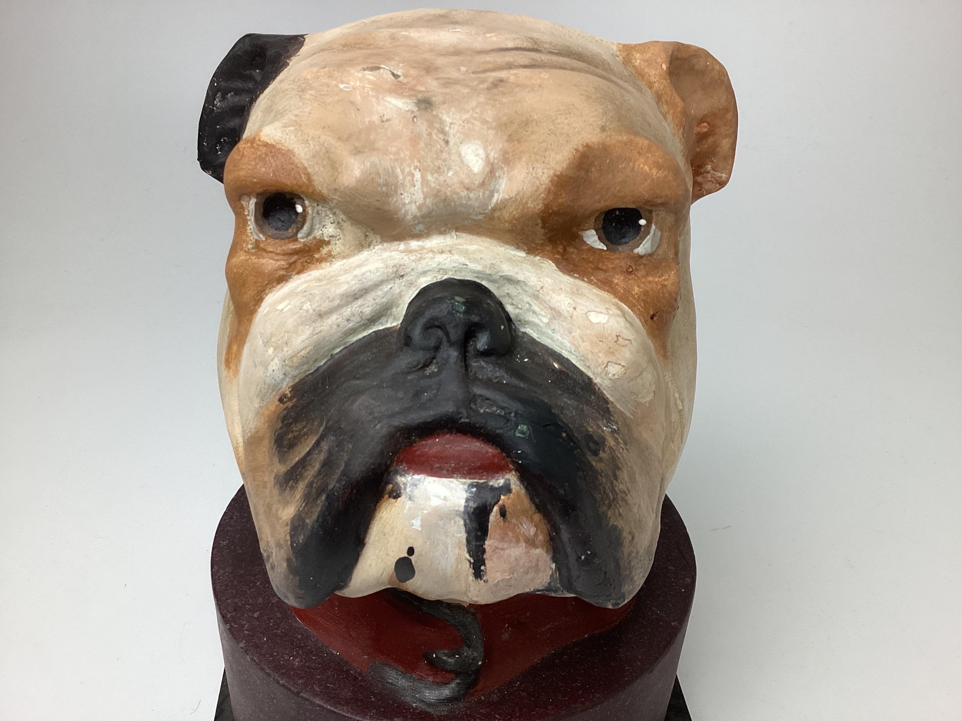 Composition English Bulldog Head Papier-mâché Collar Box For Sale