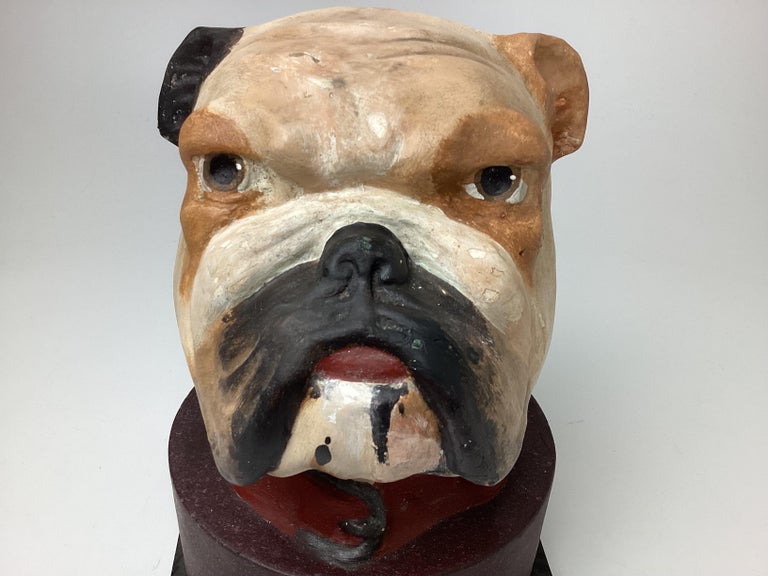 English Bulldog Head Papiermâché Collar Box For Sale at 1stDibs