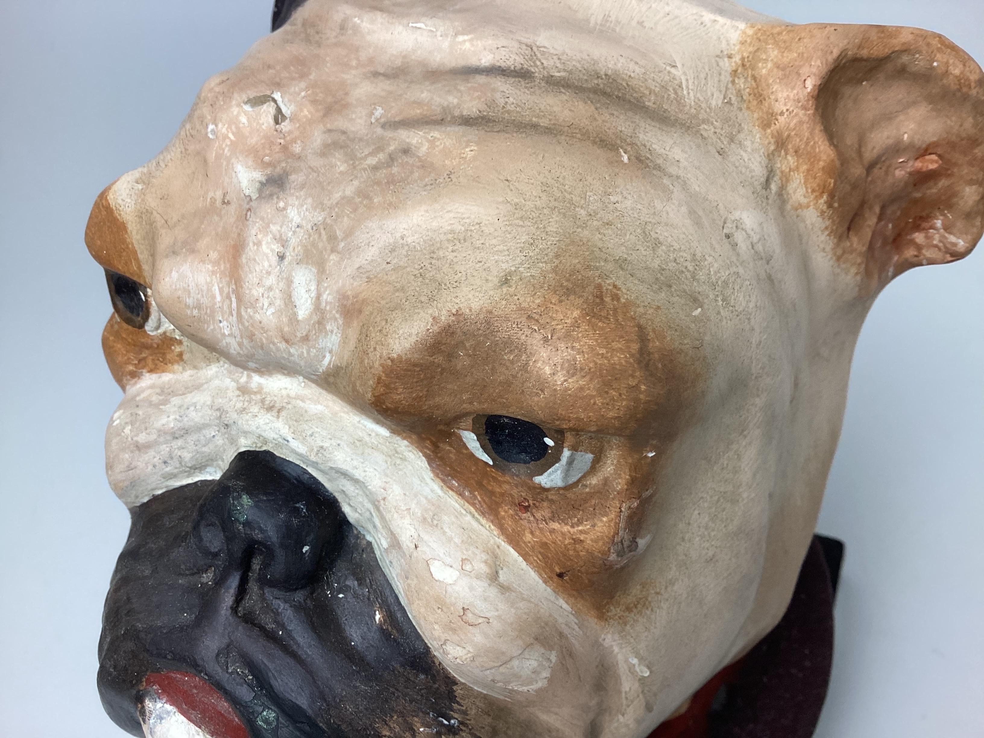 English Bulldog Head Papier-mâché Collar Box For Sale 1