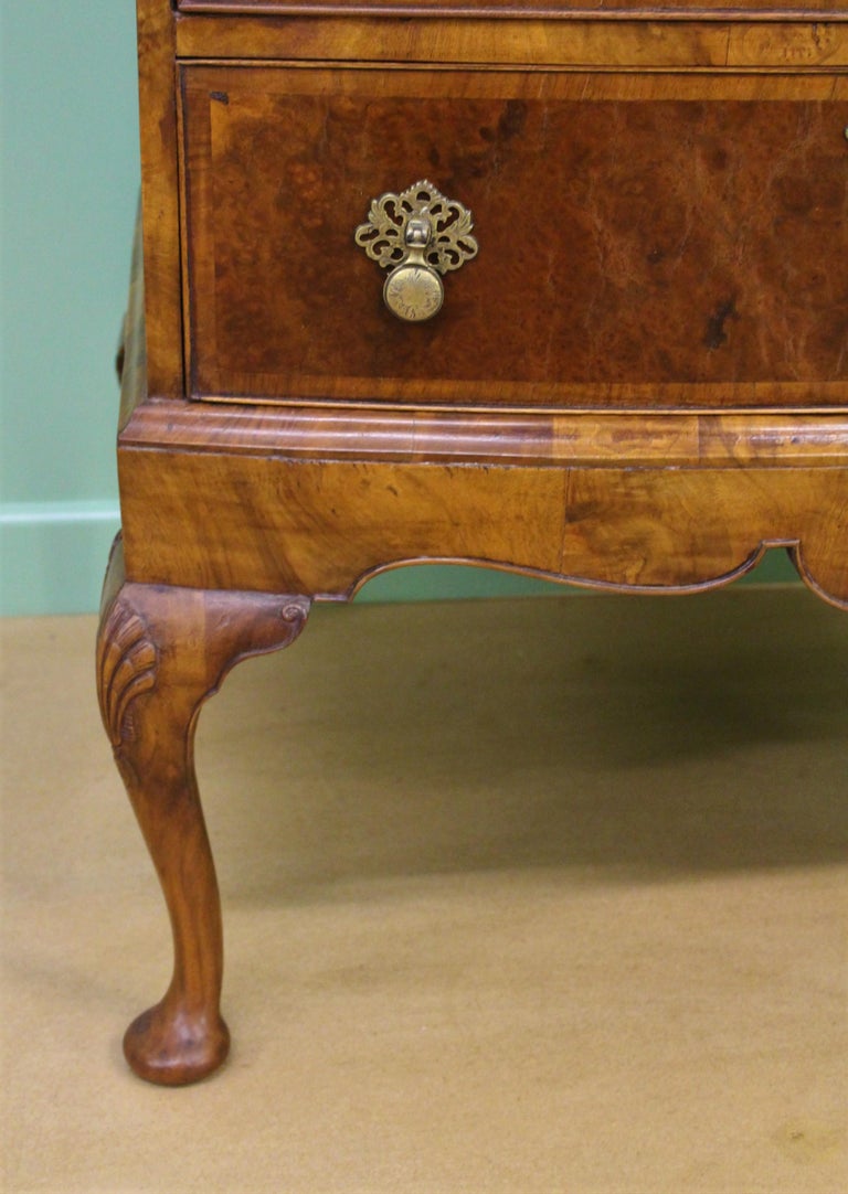 English Burr Walnut Dome Topped Linen Press bei 1stdibs