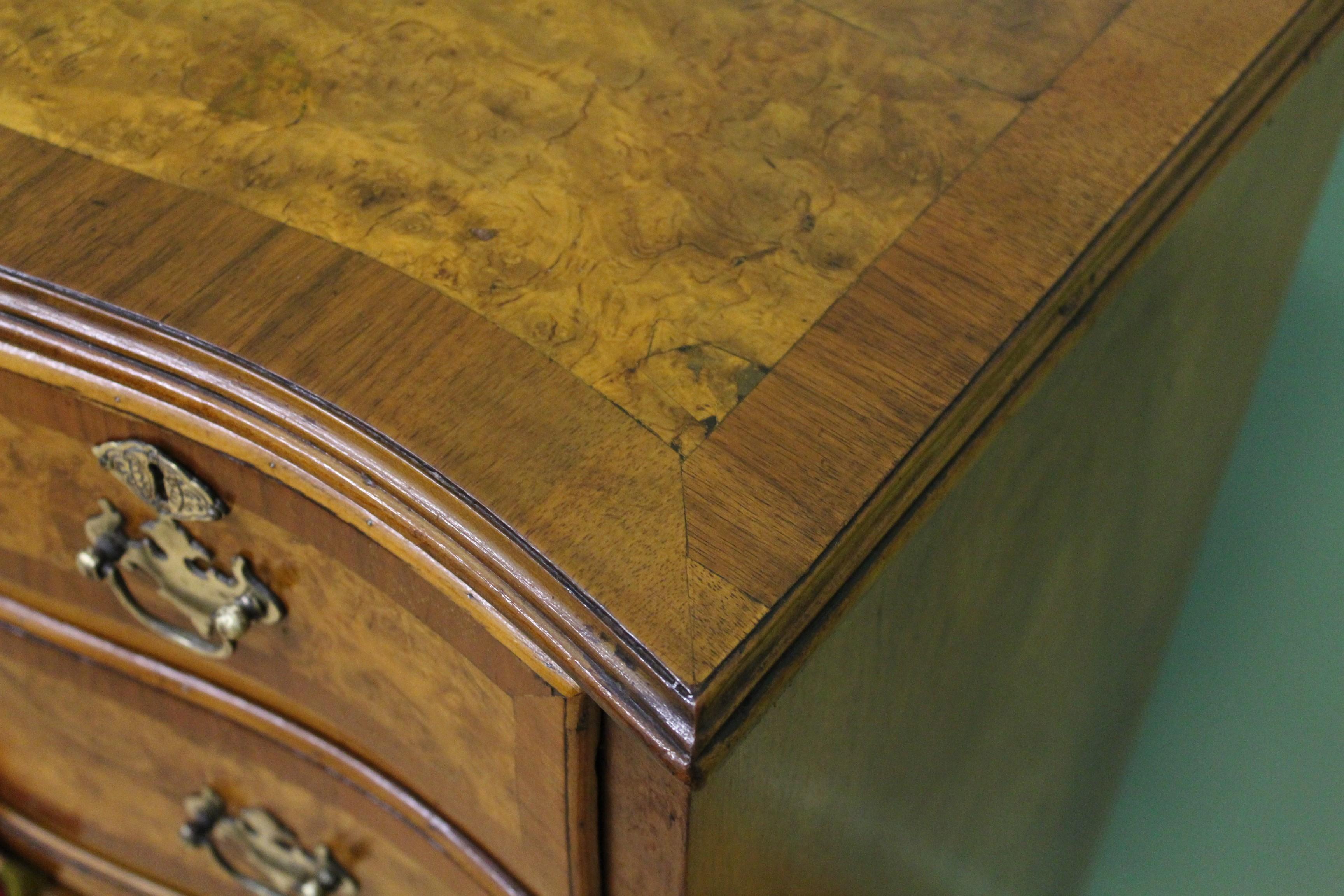 English Burr Walnut Serpentine Fronted Chest of Drawers (Walnuss)