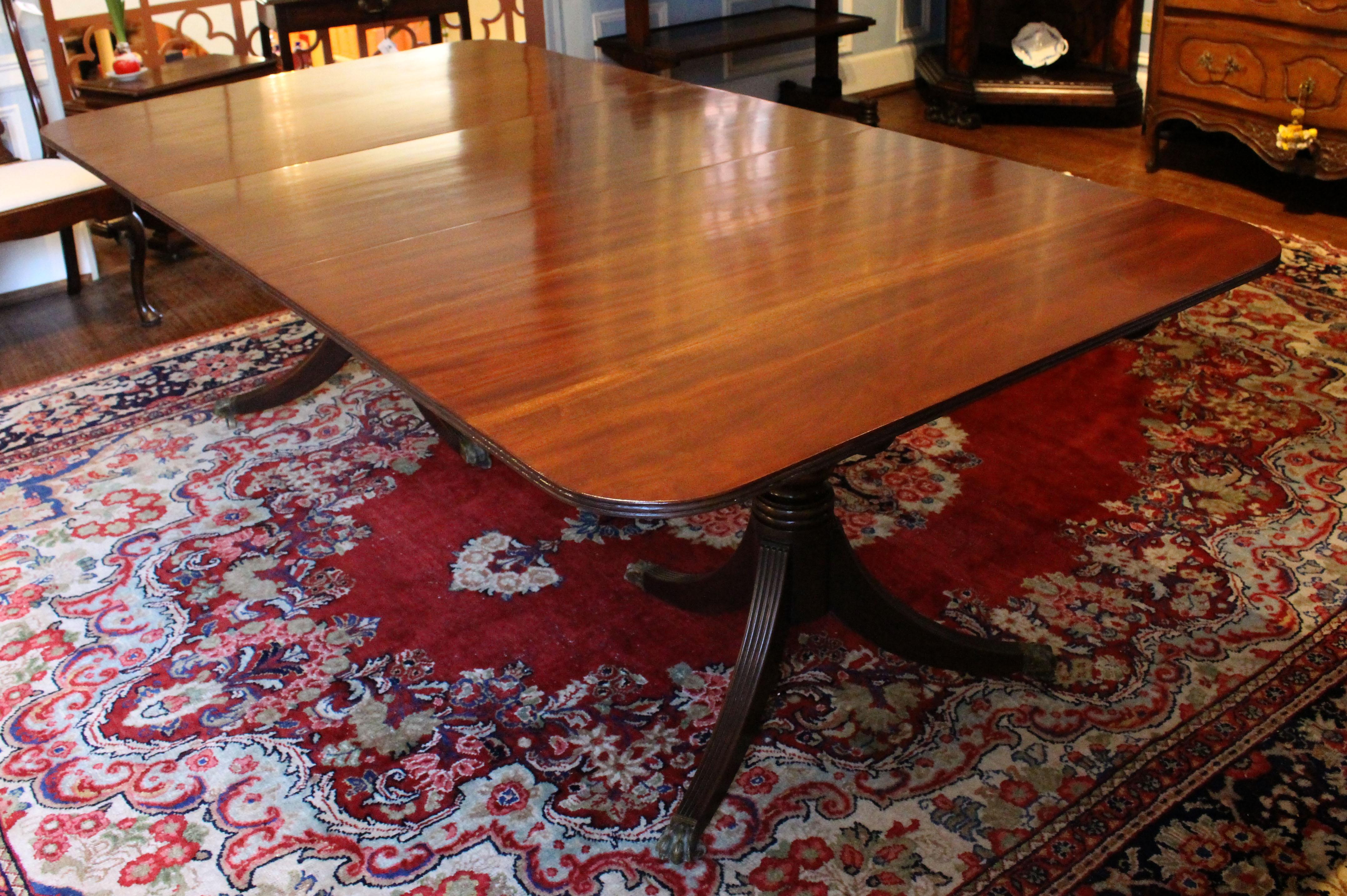 Circa 1835 dining table of solid mahogany. English, William IV period. Raised on twin pedestals, each boldly turned with reeded legs ending in brass paw feet. The reeding repeat on the table edge. One later custom made leaf. The top surfaces